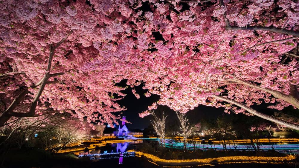 Lễ hội &aacute;nh s&aacute;ng ở Nhật